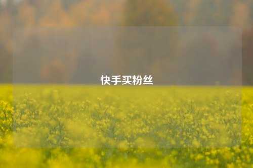 快手买粉丝  第1张