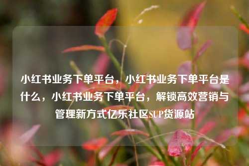 小红书业务下单平台	，小红书业务下单平台是什么，小红书业务下单平台，解锁高效营销与管理新方式亿乐社区SUP货源站  第1张