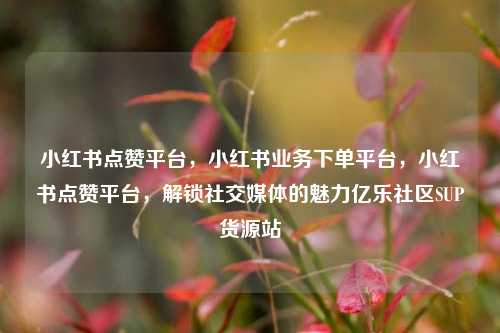 小红书点赞平台，小红书业务下单平台，小红书点赞平台	，解锁社交媒体的魅力亿乐社区SUP货源站  第1张