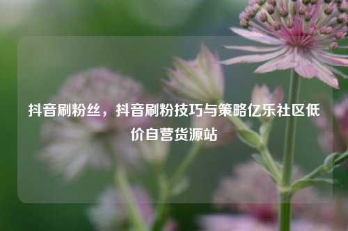 抖音刷粉丝，抖音刷粉技巧与策略亿乐社区低价自营货源站  第1张