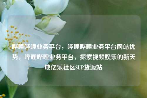 哔哩哔哩业务平台	，哔哩哔哩业务平台网站优势，哔哩哔哩业务平台，探索视频娱乐的新天地亿乐社区SUP货源站  第1张