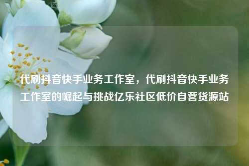 代刷抖音快手业务工作室，代刷抖音快手业务工作室的崛起与挑战亿乐社区低价自营货源站  第1张
