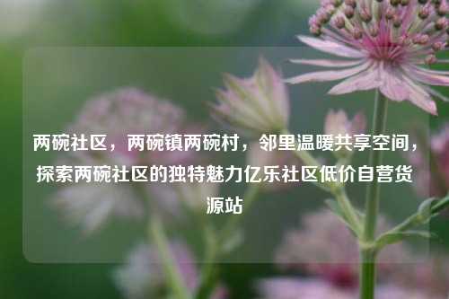 两碗社区，两碗镇两碗村	，邻里温暖共享空间，探索两碗社区的独特魅力亿乐社区低价自营货源站  第1张
