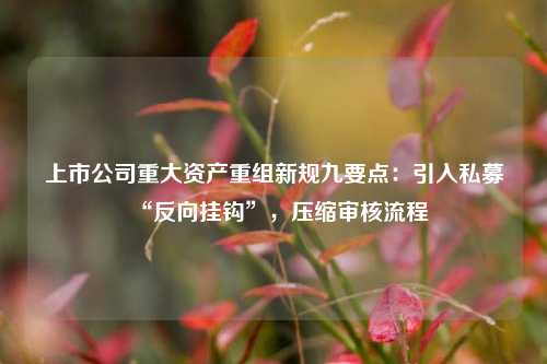 上市公司重大资产重组新规九要点：引入私募“反向挂钩	”	，压缩审核流程  第1张