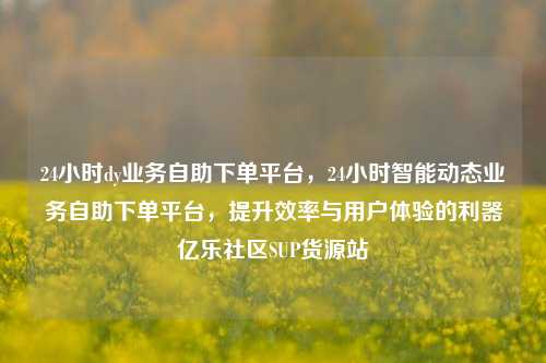 24小时dy业务自助下单平台，24小时智能动态业务自助下单平台，提升效率与用户体验的利器亿乐社区SUP货源站  第1张