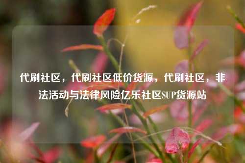 代刷社区，代刷社区低价货源，代刷社区，非法活动与法律风险亿乐社区SUP货源站  第1张