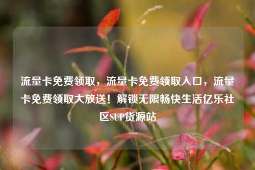流量卡免费领取，流量卡免费领取入口，流量卡免费领取大放送！解锁无限畅快生活亿乐社区SUP货源站  第1张