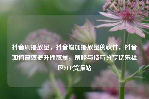 抖音刷播放量，抖音增加播放量的软件，抖音如何高效提升播放量，策略与技巧分享亿乐社区SUP货源站  第1张