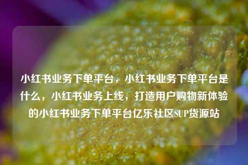 小红书业务下单平台，小红书业务下单平台是什么	，小红书业务上线，打造用户购物新体验的小红书业务下单平台亿乐社区SUP货源站  第1张