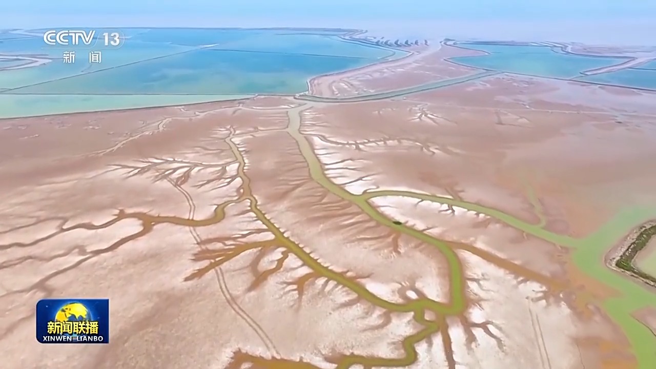 新思想引领新征程丨扎实推进生态文明建设 绘就美丽中国更新画卷  第4张 新思想引领新征程丨扎实推进生态文明建设 绘就美丽中国更新画卷  第4张