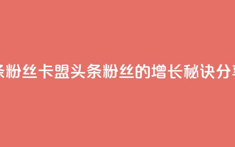 卡盟头条粉丝 - 卡盟头条粉丝的增长秘诀分享!  第1张 卡盟头条粉丝 - 卡盟头条粉丝的增长秘诀分享!  第1张