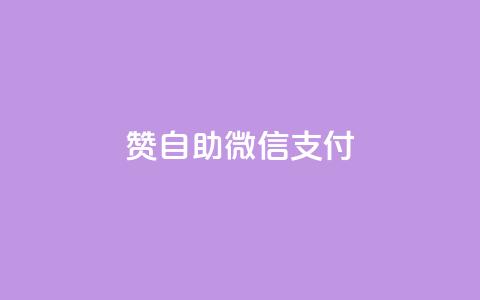 Ks赞自助微信支付 - 微信卡盟  第1张 Ks赞自助微信支付 - 微信卡盟  第1张