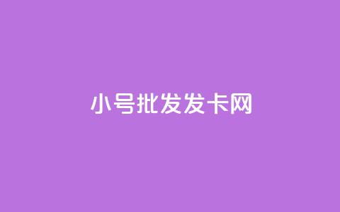 vx小号批发发卡网,全网自动下单平台 - 快手粉丝闲鱼 千叶卡盟  第1张