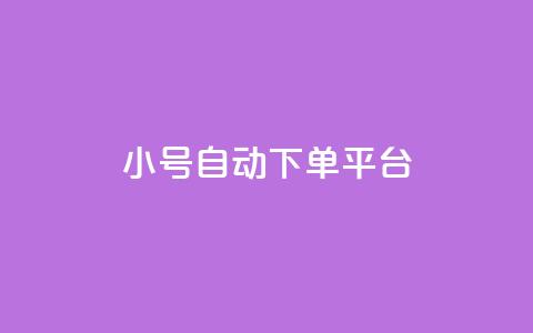 ks小号自动下单平台 - KS小号自动下单平台，一键畅享便捷购物体验!  第1张