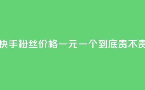 快手粉丝价格一元一个到底贵不贵  第1张 快手粉丝价格一元一个到底贵不贵  第1张