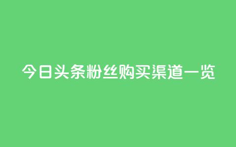 今日头条粉丝购买渠道一览 第1张 今日头条粉丝购买渠道一览 第1张