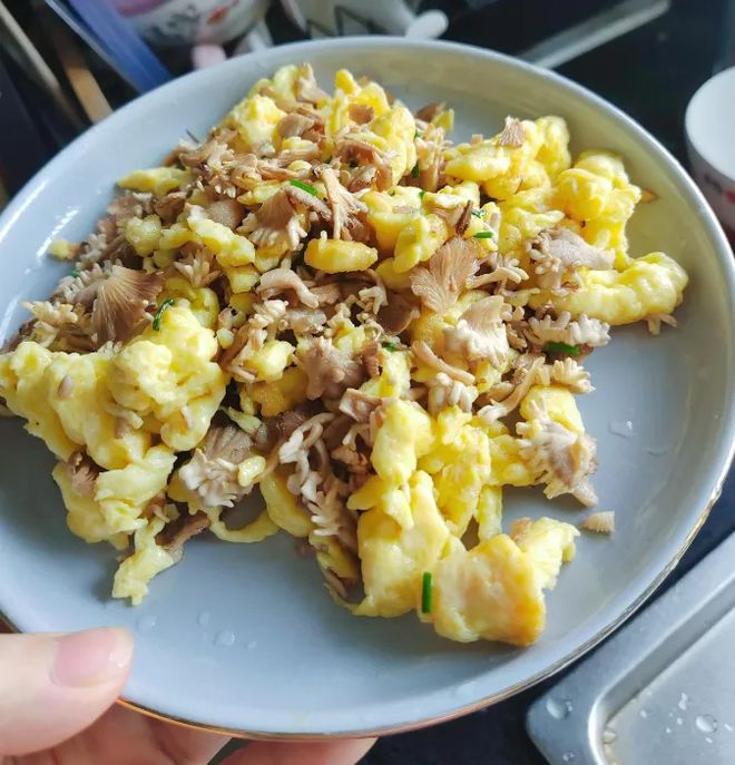 苹果上长出的蘑菇“果菌王	”已经吃上了 炖蛋是目前最美味的做法~  第3张