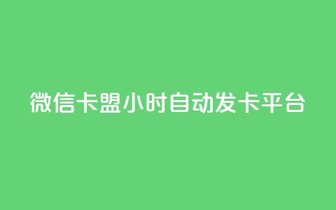 微信卡盟24小时自动发卡平台,云小店24小时下单平台 - 拼多多自动下单脚本 拼多多砍一刀代砍  第1张 微信卡盟24小时自动发卡平台,云小店24小时下单平台 - 拼多多自动下单脚本 拼多多砍一刀代砍  第1张