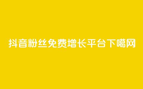 抖音粉丝免费增长平台  第1张 抖音粉丝免费增长平台  第1张