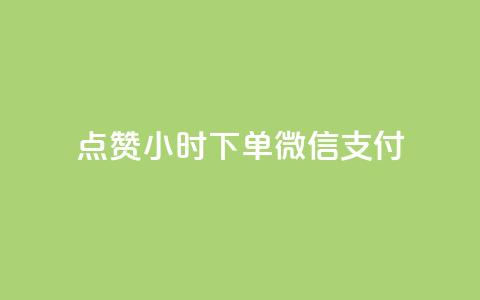 点赞24小时下单微信支付,刷QQ空间访客记录 - 卡盟24小时自助平台校园跑 充抖音流量怎么充  第1张