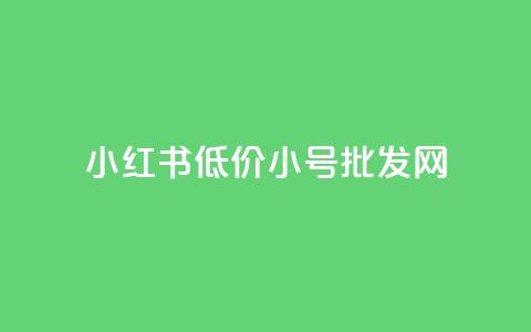 小红书低价小号批发网,卡盟24小时自助下单业务 - 王者荣耀主页刷热度网站 抖音粉丝和挂车数量  第1张