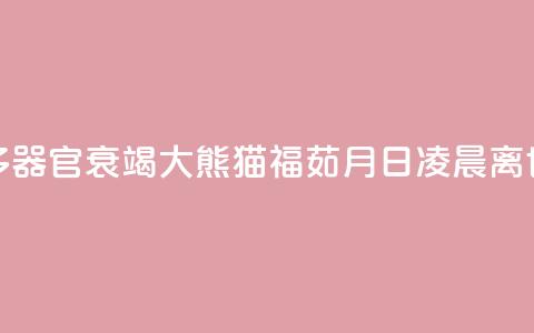 多器官衰竭 大熊猫“福茹”8月16日凌晨离世  第1张