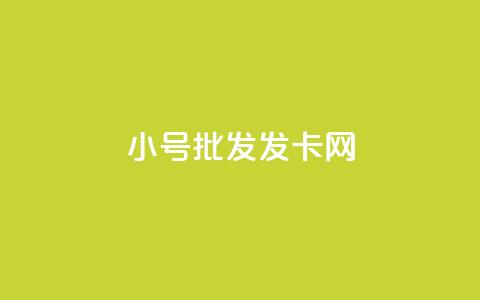 vx小号批发发卡网,全网自动下单平台 - 快手粉丝闲鱼 千叶卡盟  第1张