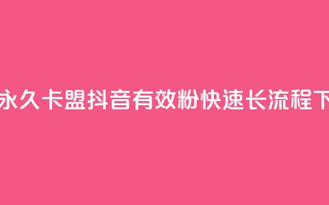 qq绿钻永久卡盟 - 抖音500有效粉快速长流程  第1张