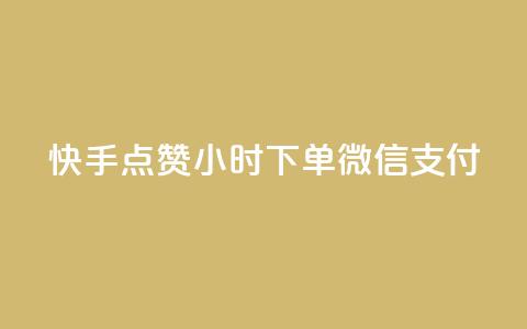 快手点赞24小时下单微信支付 - 高效便捷！快手点赞24小时内完成订单，支持微信支付！!  第1张