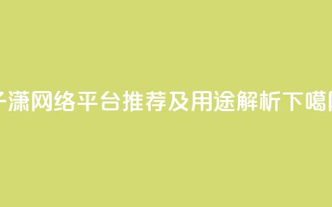子潇网络平台推荐及用途解析  第1张 子潇网络平台推荐及用途解析  第1张