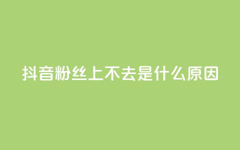 抖音粉丝上不去是什么原因 - 抖音粉丝增长缓慢的原因分析与解决方案!  第1张 抖音粉丝上不去是什么原因 - 抖音粉丝增长缓慢的原因分析与解决方案!  第1张