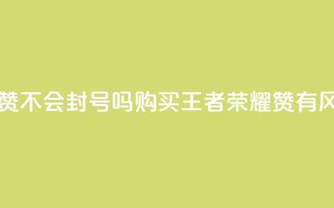 王者荣耀买赞不会封号吗 - 购买王者荣耀赞有风险吗?!  第1张 王者荣耀买赞不会封号吗 - 购买王者荣耀赞有风险吗?!  第1张