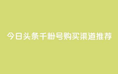 今日头条千粉号购买渠道推荐  第1张 今日头条千粉号购买渠道推荐  第1张