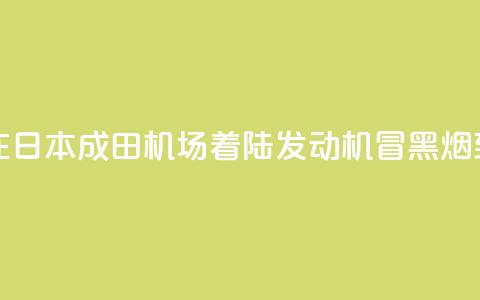 新航波音客机在日本成田机场着陆 发动机冒黑烟致跑道一度关闭  第1张 新航波音客机在日本成田机场着陆 发动机冒黑烟致跑道一度关闭  第1张