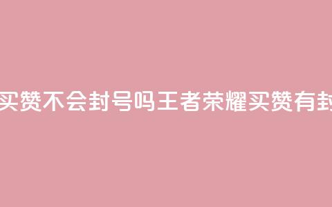 王者荣耀买赞不会封号吗(王者荣耀买赞有封号风险吗?) 第1张 王者荣耀买赞不会封号吗(王者荣耀买赞有封号风险吗?) 第1张