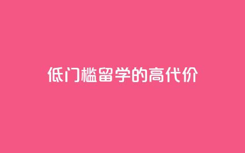 “低门槛	”留学的“高代价”  第1张