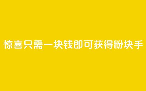 惊喜！只需一块钱，即可获得1000粉块手！  第1张