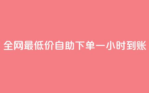 全网最低价:自助下单一小时到账 第1张 全网最低价:自助下单一小时到账 第1张