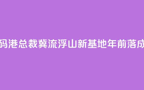 香港数码港总裁：冀流浮山新基地2030年前落成  第1张