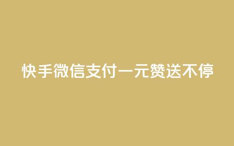 快手微信支付：一元赞送不停  第1张