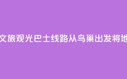 北京开通新文旅观光巴士线路 从鸟巢出发将地标“串珠成链”  第1张