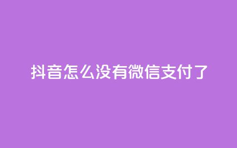 抖音怎么没有微信支付了  第1张 抖音怎么没有微信支付了  第1张