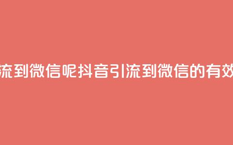 抖音怎么引流到微信呢(抖音引流到微信的有效方法)  第1张 抖音怎么引流到微信呢(抖音引流到微信的有效方法)  第1张