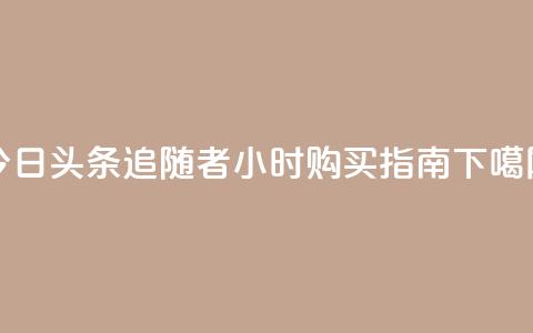 今日头条追随者24小时购买指南  第1张 今日头条追随者24小时购买指南  第1张