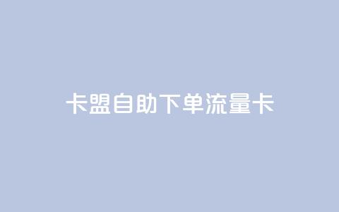 卡盟自助下单流量卡 - 自助下单流量卡升级体验!  第1张 卡盟自助下单流量卡 - 自助下单流量卡升级体验!  第1张