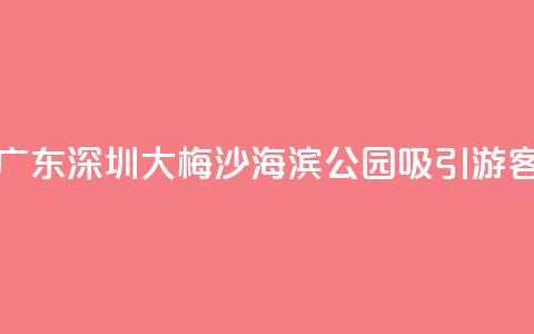 广东深圳:大梅沙海滨公园吸引游客  第1张 广东深圳:大梅沙海滨公园吸引游客  第1张