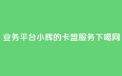 qq业务平台小辉的卡盟服务  第1张 qq业务平台小辉的卡盟服务  第1张