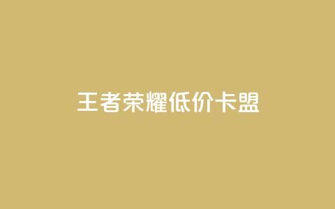 王者荣耀低价卡盟,qq说说赞空间说说的网站 - 拼多多700元助力到元宝了 购买拼多多助力  第1张