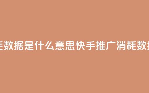 快手推广消耗数据是什么意思 - 快手推广消耗数据解析!  第1张
