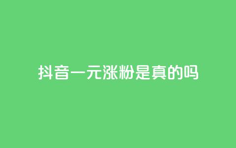 抖音一元涨粉是真的吗 - 抖音一元涨粉真的有效吗?揭秘真相! 第1张 抖音一元涨粉是真的吗 - 抖音一元涨粉真的有效吗?揭秘真相! 第1张